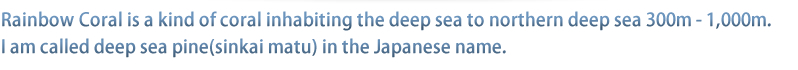 Rainbow Coral is a kind of coral inhabiting the deep sea to northern deep sea 300m - 1,000m. I am called deep sea pine(sinkai matu) in the Japanese name.