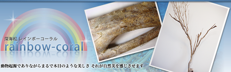 NłȂ܂Ŗؖڂ̂悤Ȕ ꂪR܂